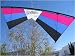 Revolution EXP Quad Line Stunt Kite Raspberry Blue Black Made in the USA
