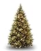 National Tree 7 1/2′ Carolina Pine Tree, Hinged, 86 Flocked Cones, Clear Lights (CAP3-306-75) 750