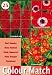 Colour Collection Summer Bulbs - Red (Pack of 25)