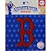 MLB Boston Red Sox Logo Patch