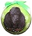 Poodle Christmas Ornament Shatter Proof Ball Easy To Personalize A Perfect Gift For Poodle Lovers