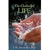 The Chalice of Life: Reflections on the Significant Stages in Life