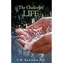 The Chalice of Life: Reflections on the Significant Stages in Life