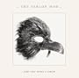 & You Were a Crow