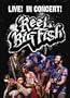 Reel Big Fish Live! In Concert!