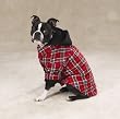 RED - LARGE - The Logger Dog Utility Jacket