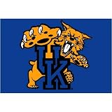 Kentucky Wildcats NCAA Tufted Rug (20 x30 )