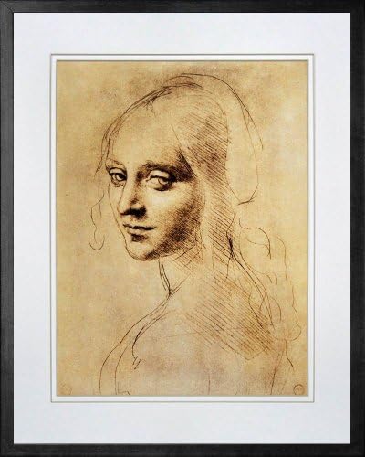 Female Head by Leonardo Da Vinci. Framed Art Print Poster. Custom Made Real Wood Modern Charcoal Black Frame (17 1/8 x 21 1/8)