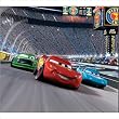 Blue Mountain Wallcoverings DMM2517 Cars Race Track Self-Stick Mini Wall Mural 31.625-Inch by