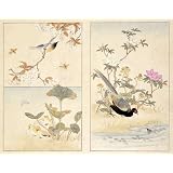Birds and flowers, from an Album of Animals, Plants & Birds (Print On Demand)