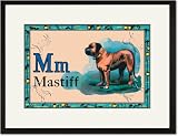 Black Framed/Matted Print 17x23, Mastiff