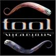 Tool: Vicarious