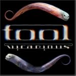 Tool Vicarious