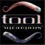 Tool Vicarious