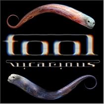 Tool: Vicarious