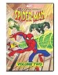 The Spectacular Spider-Man, Vol. 2