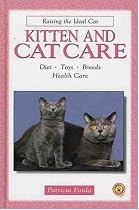 Kitten and Cat Care: Diet, Toys, Breeds, Health Care