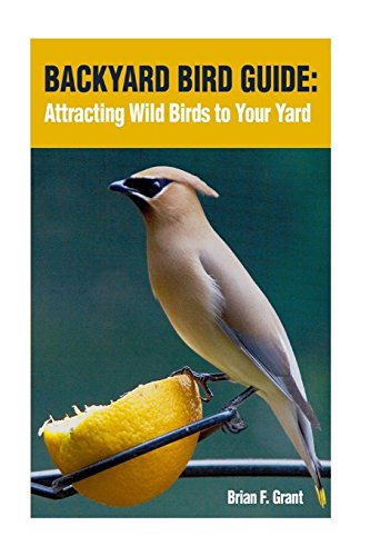 Backyard Bird Guide: Attracting Wild Birds to Your Yard