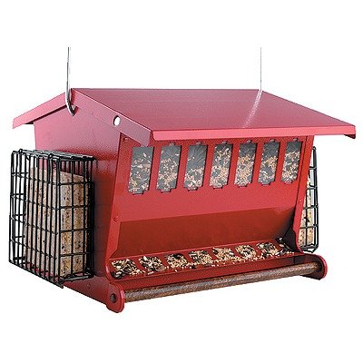 Seed N More Feeder
