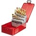 Dormer A097 High Speed Steel Jobber Drill Bit Set, Bright Finish with TiN Coated Tip, Round Shank, 118 Degree Split Point