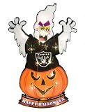 20" Lighted NFL Oakland Raiders "Happy Halloween" Yard Decoration