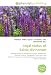 Legal status of Salvia divinorum: Advisory Council on the Misuse of Drugs, Hydroponic...