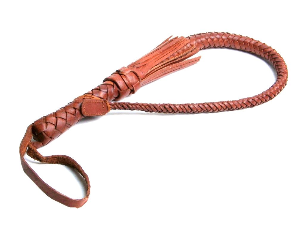 horsewhip définition What is