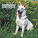 White German Shepherds 2008 Wall Calendar