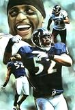 Baltimore Ravens (Ray Lewis Montage) Sports Poster Print - 11x17