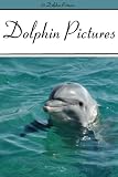 Dolphin Pictures