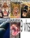 Predators of the Wild 9 Video: Predators of the Wild Tiger, predators of the wild killer whale, Predators of The Wild Grizzly Bear - Documentary, predators of the wild africa survival, Predators of the Wild; Polar Bear, BATS Predators of the Wild, Survival Predators: Snakes, Predators Of The Wild - Shark, Predators of the Wild: Hunters & the Hunted