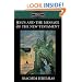 Jesus and the Message of the New Testament (Fortress Classics in Biblical Studies)