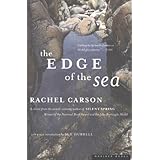 the edge of the sea