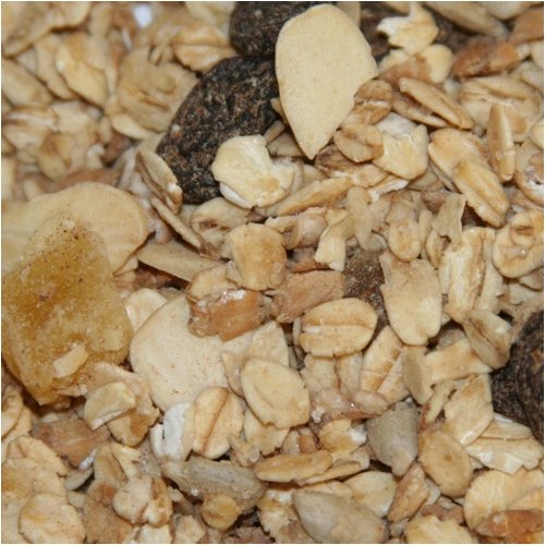 Granola Cinnamon Fruit by Oh! Nuts