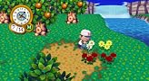 Animal Crossing: City Folk Animal Crossing: City Folk
