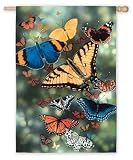 Outdoor Living : Butterfly Garden Flag