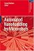 Automated Nanohandling by Microrobots (Springer Series in Advanced Manufacturing)