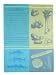 Bouillabaisse Recipe Design Vibrant French Jacquard Tea towel Beautiful colors