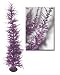Whimsical Purple Laser Tinsel Artificial Christmas Tree 4'