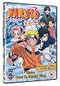 Naruto - The Lost Story