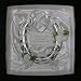 Bridal wedding lucky real horseshoe in WHITE