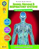 Senses, Nervous & Respiratory Systems (Human Body)