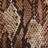 SNAKE SKIN PRINT SPANDEX FOOTLESS DANCE LEGGINGS TIGHTS