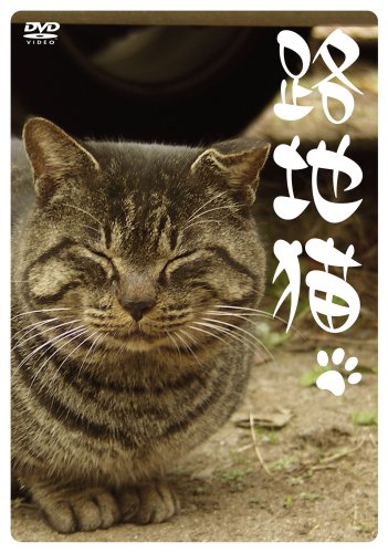Cover image : 路地猫 [DVD]