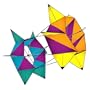 SpinBox® Nylon Rotating Box Kite: Prism by X-Kites