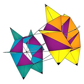 SpinBox® Nylon Rotating Box Kite: Prism by X-Kites
