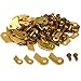 50 Clock Ratchet Click Medium Rivets Clockmaker Parts