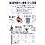 男性用吸引式勃起補助器具/ダンディ・VD
