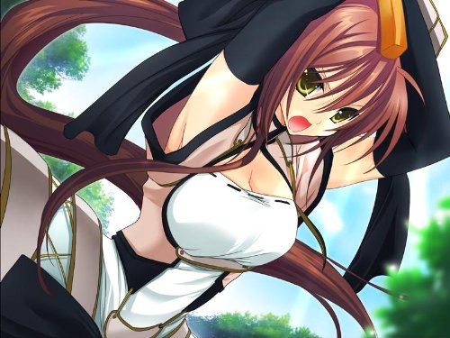戦極姫 ~戦乱に舞う乙女達~(限定版)