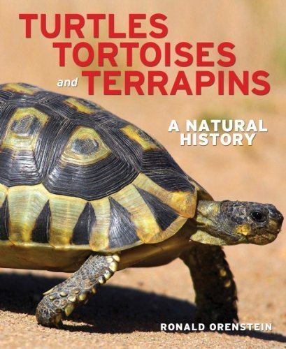 Turtles, Tortoises and Terrapins: A Natural History Revised, Expanded an Edition by Orenstein, Ronald published by Firefly Books (2012)